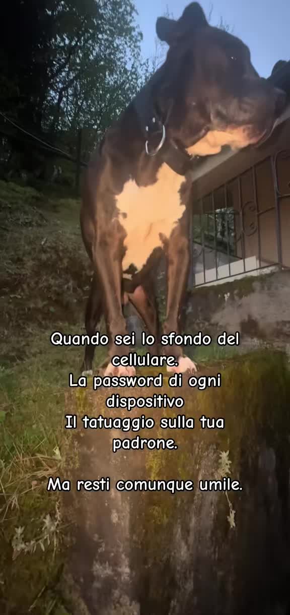 @Francesca 🖤