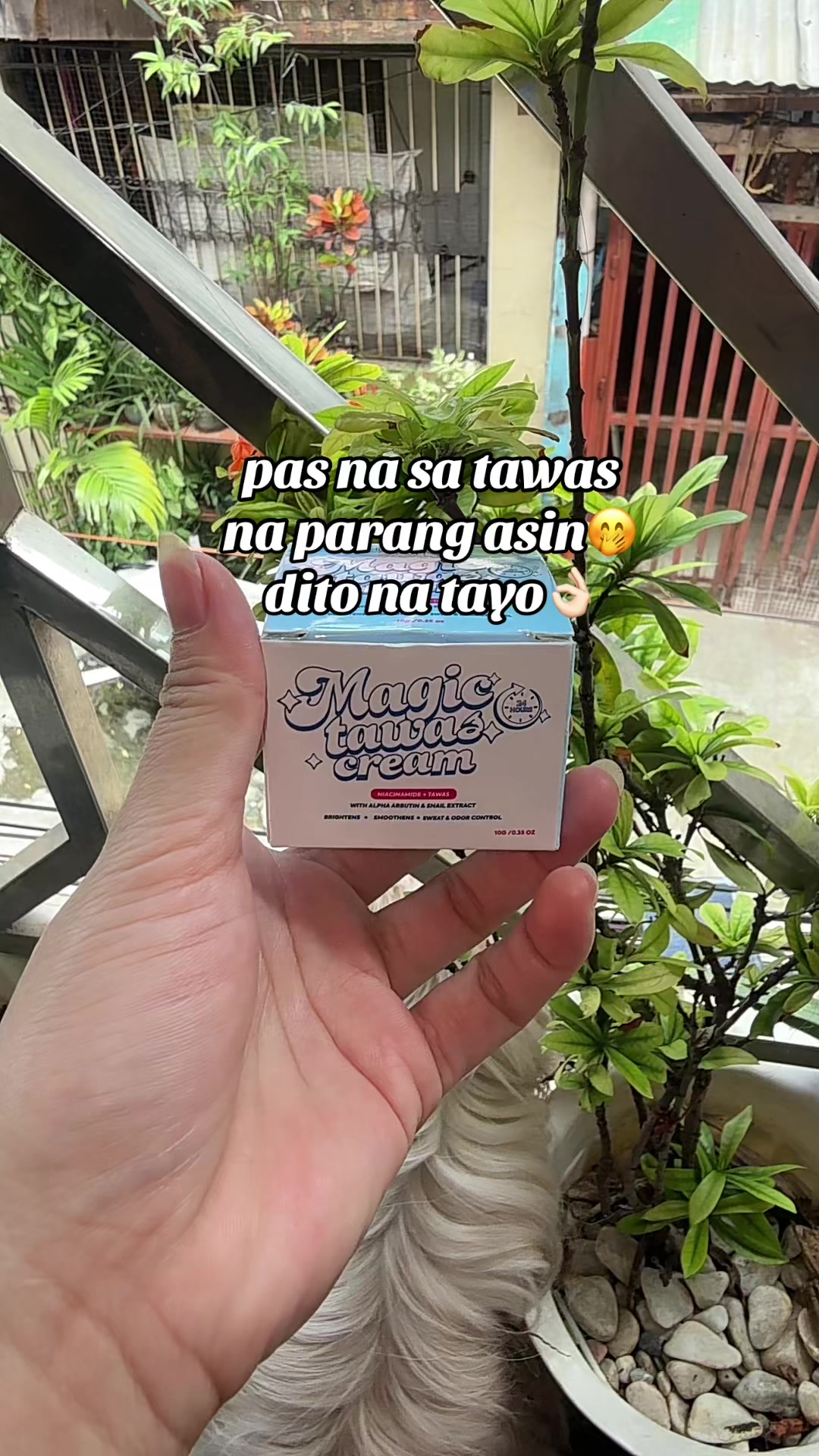 @petot🌻🏳️🌈