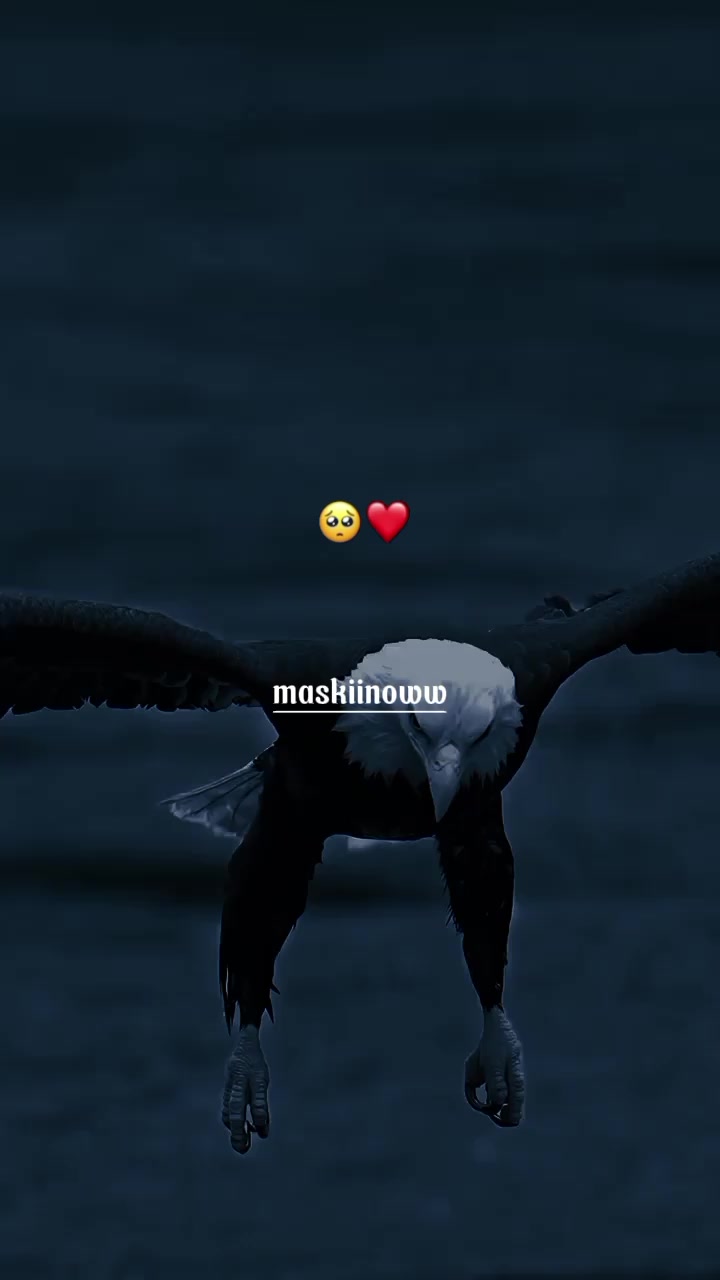 @ᗰ❤️ᗰ🪿ᗰ🤴