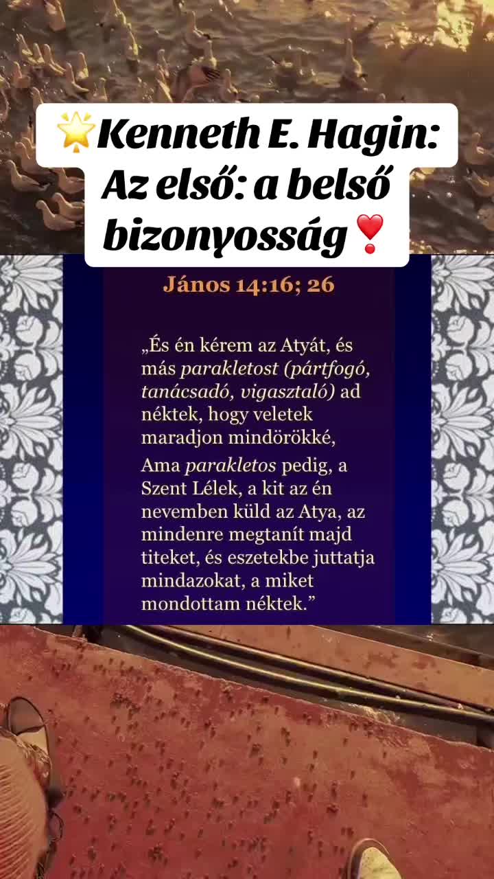 @Mónika Erős