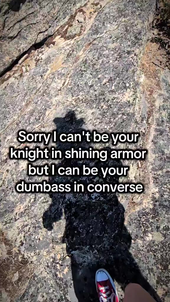 @Starlit Wolf