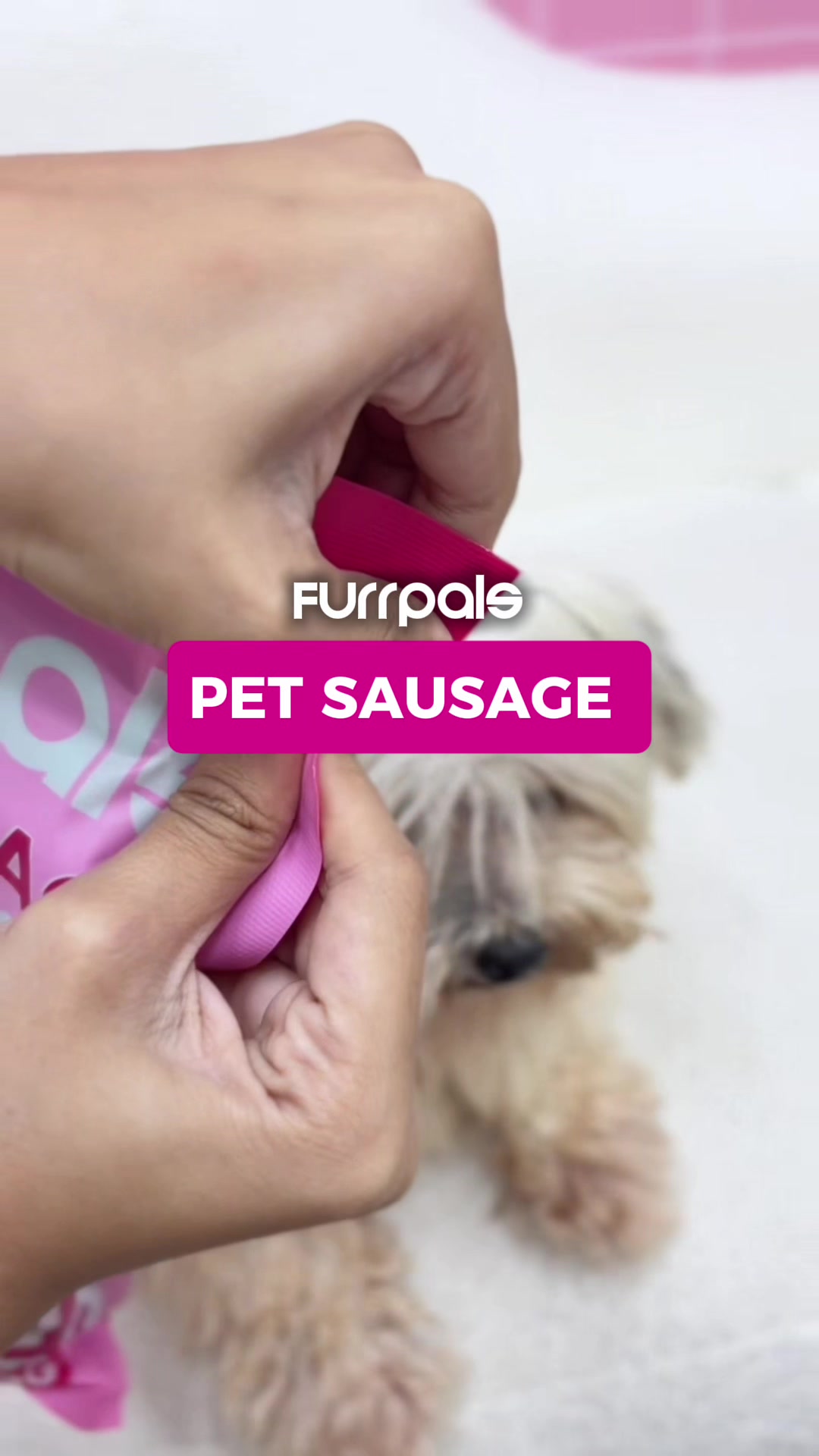 @Furrpals
