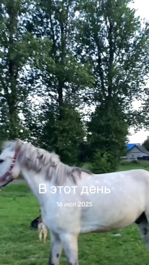@umago.vitebsk