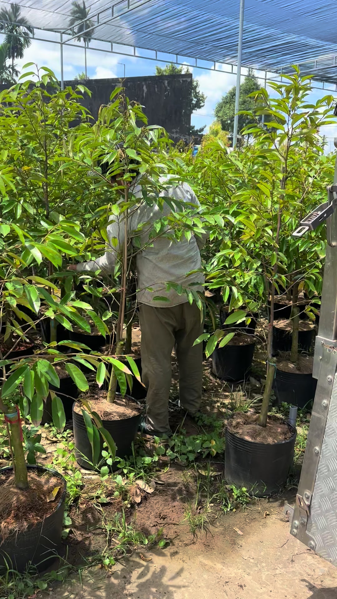 @H&ugrave;ng Chương STCG Welofarm