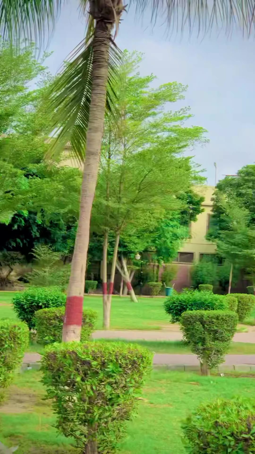@Shera Khan Usman