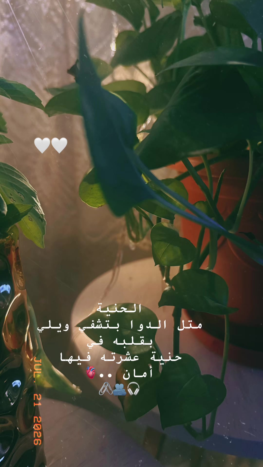 @Jo,,,m👑