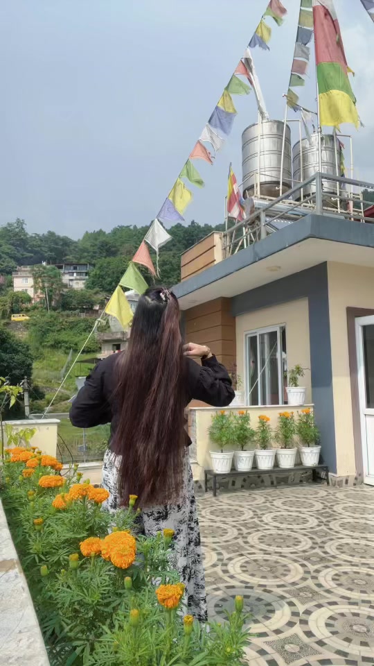 @Mina Lama