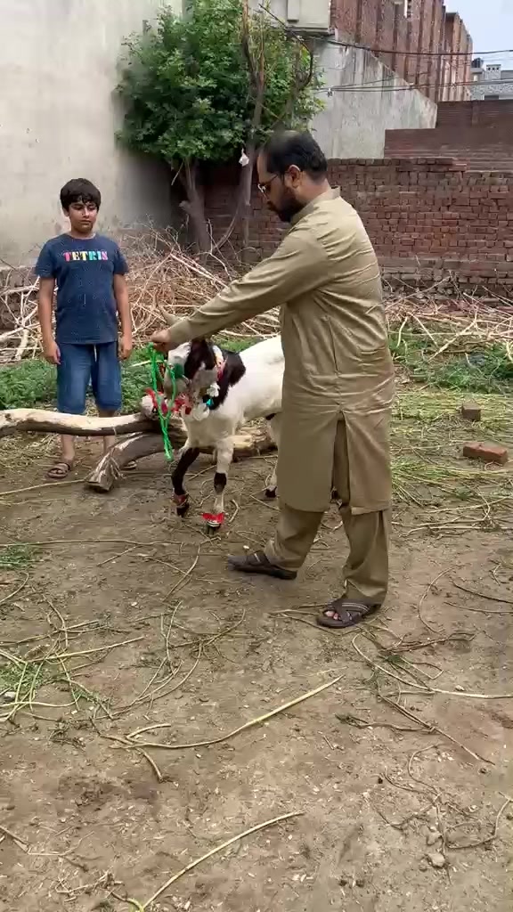 @Azeem Bhatti adv