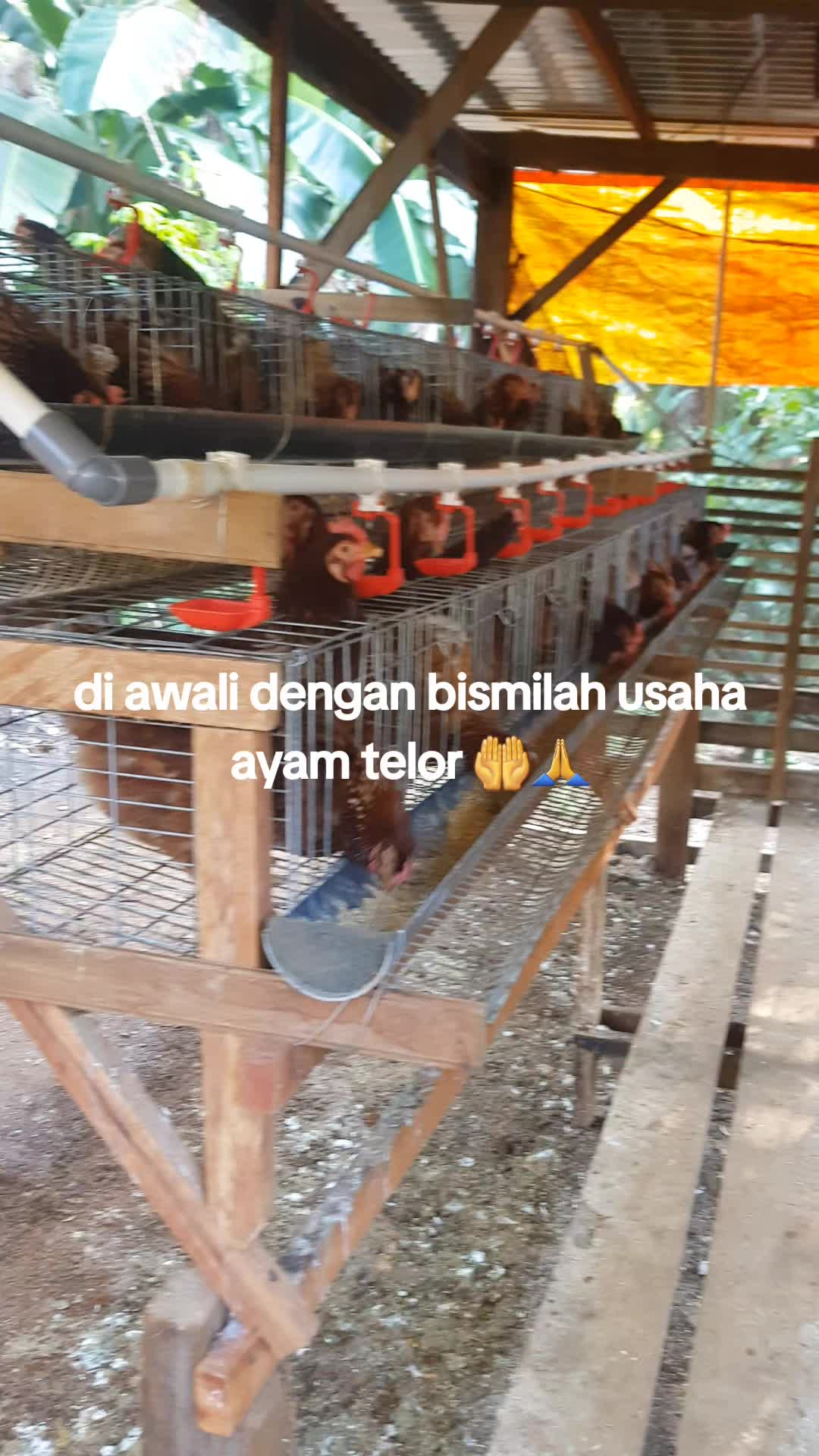 @REZKY_PUTRA_TUNGAL_08