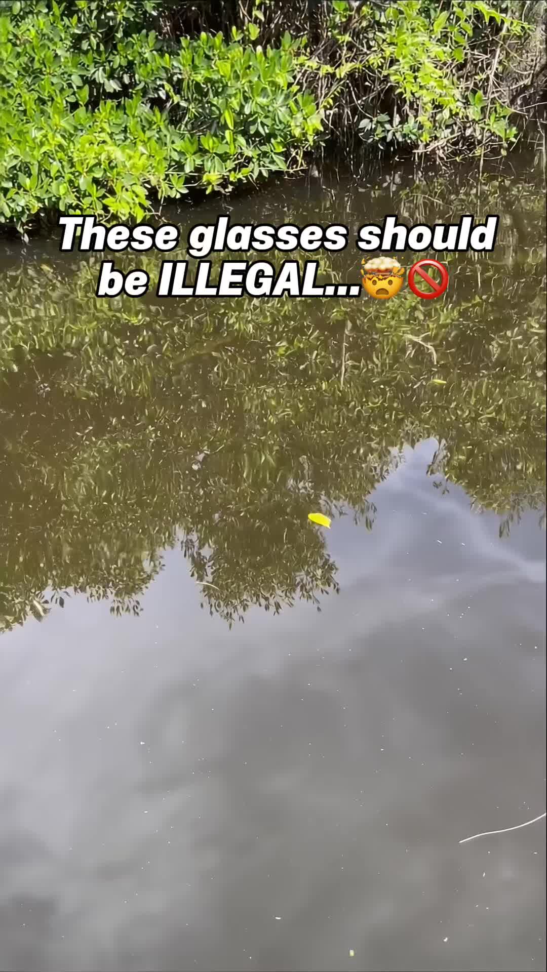 @AquaVision | Fishing | Eyewear