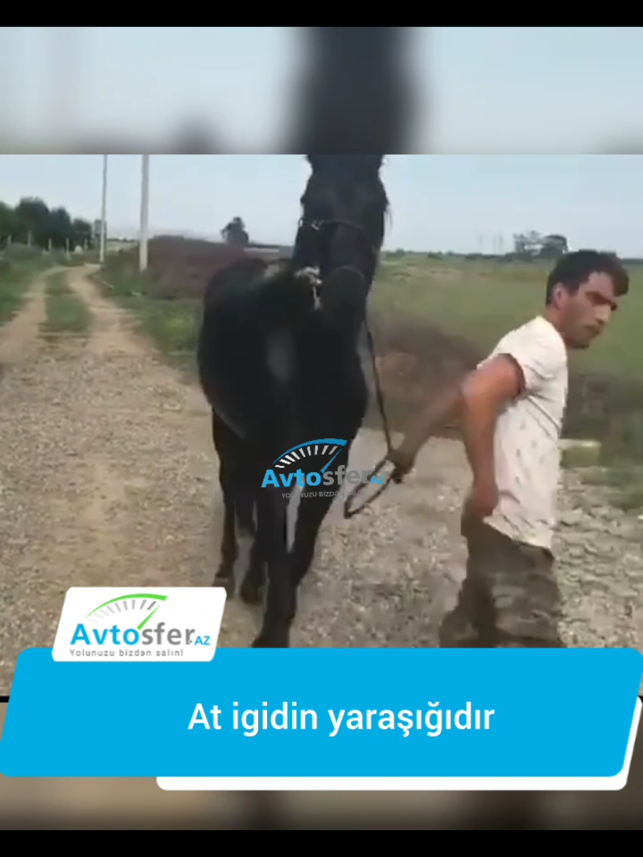 @Avtosfer TV