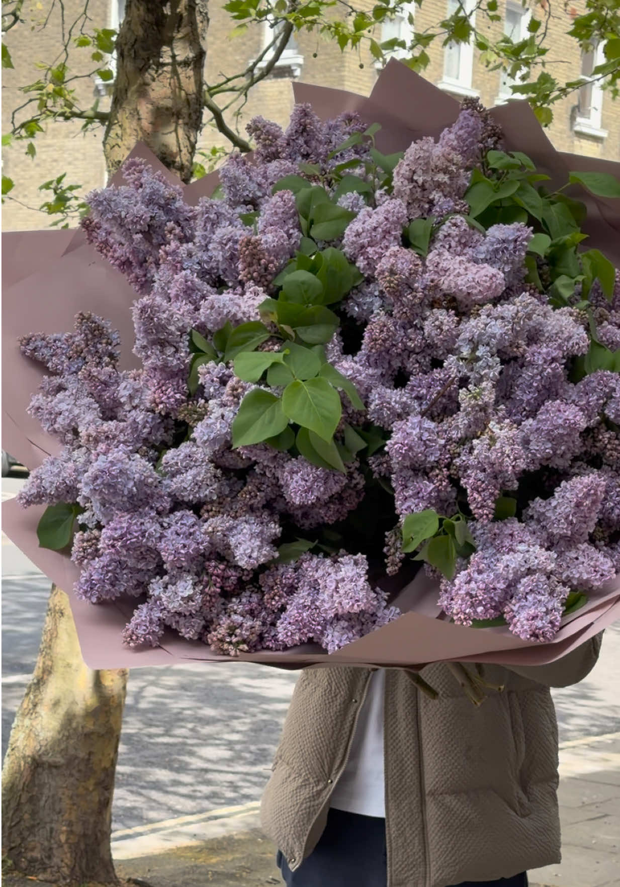 @illyrianflowers