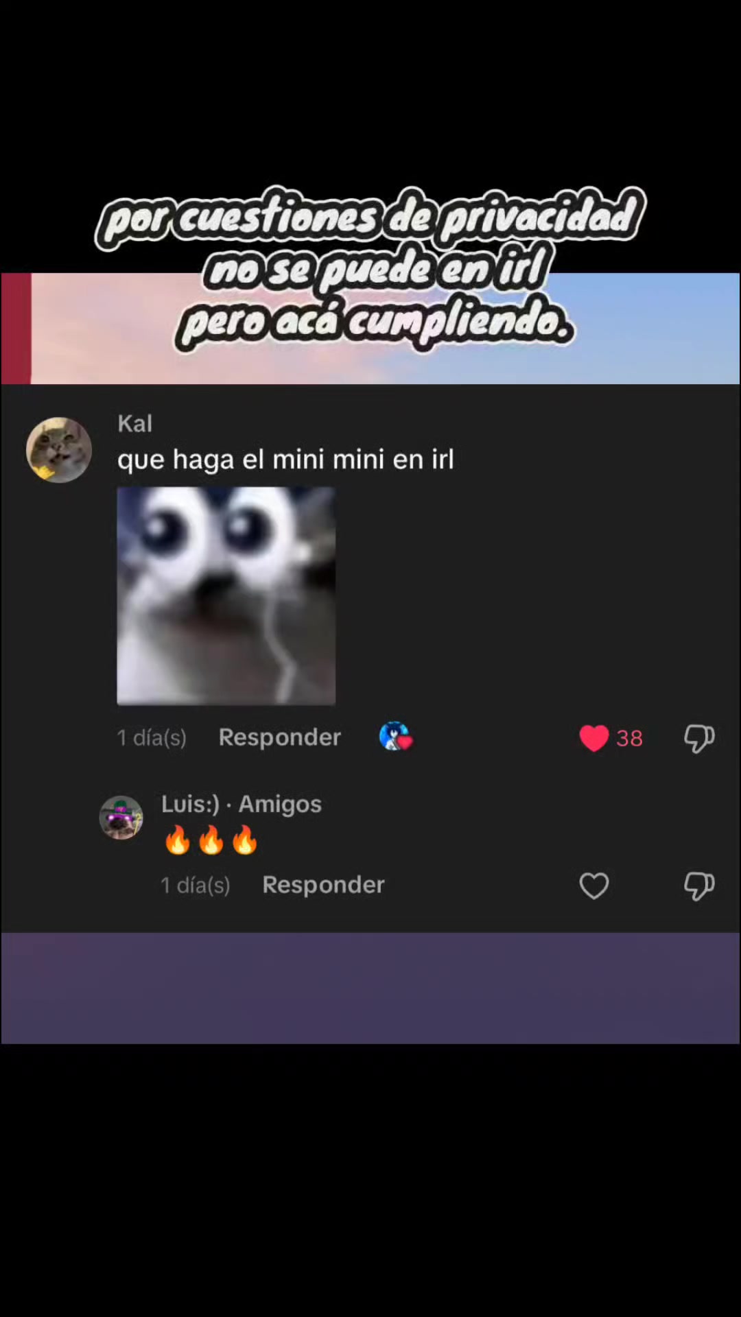 @SoyCeikoVT🦊