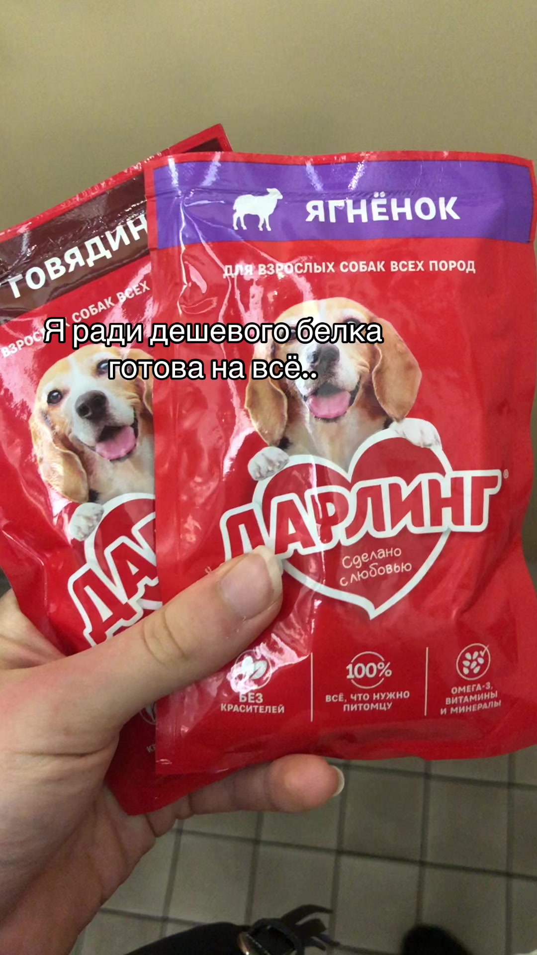 @Тгк: catislosingweight