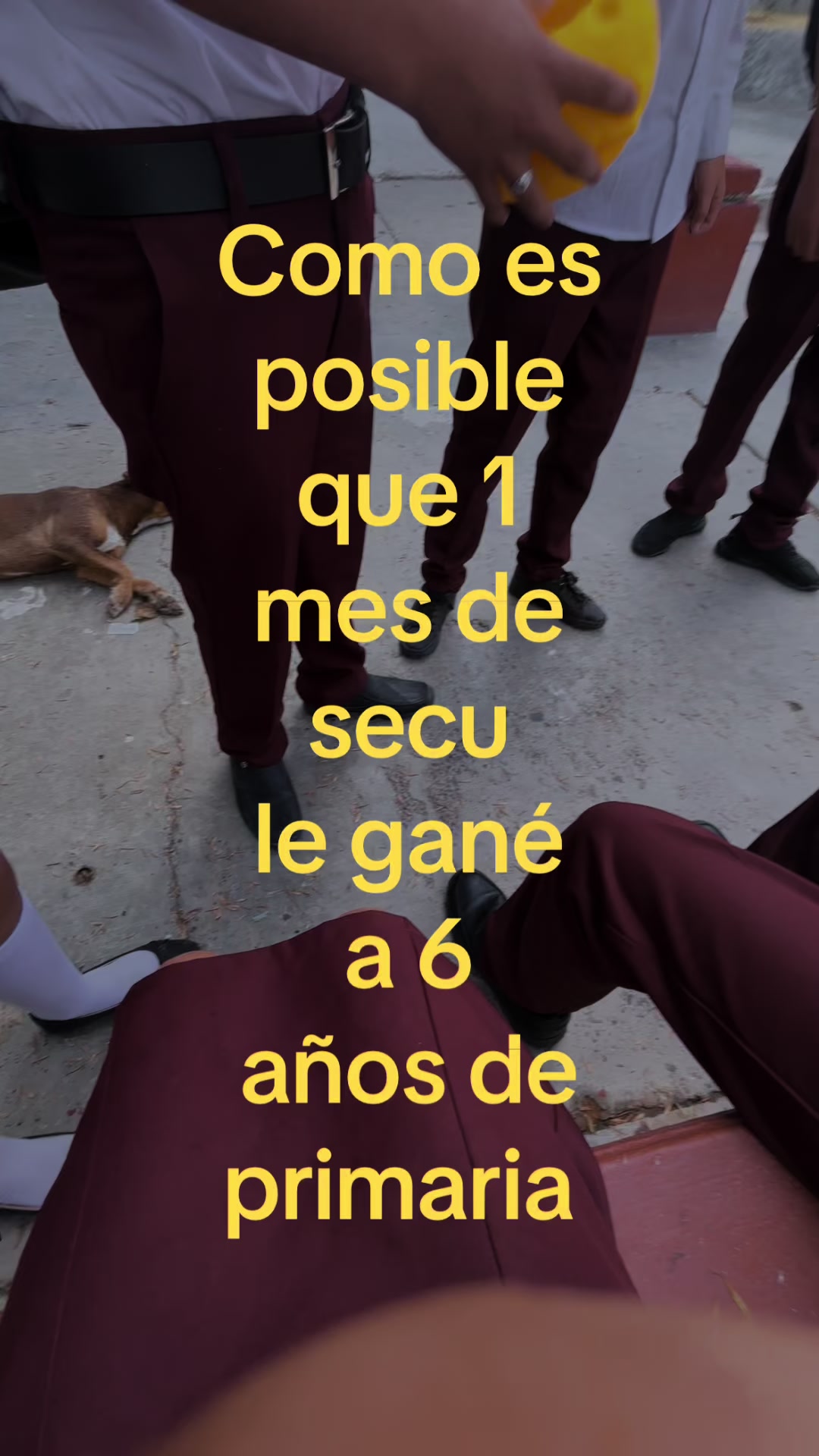 @🪩🤍ᖴᑌIᗰOՏ 6toB 26#🤍🪩