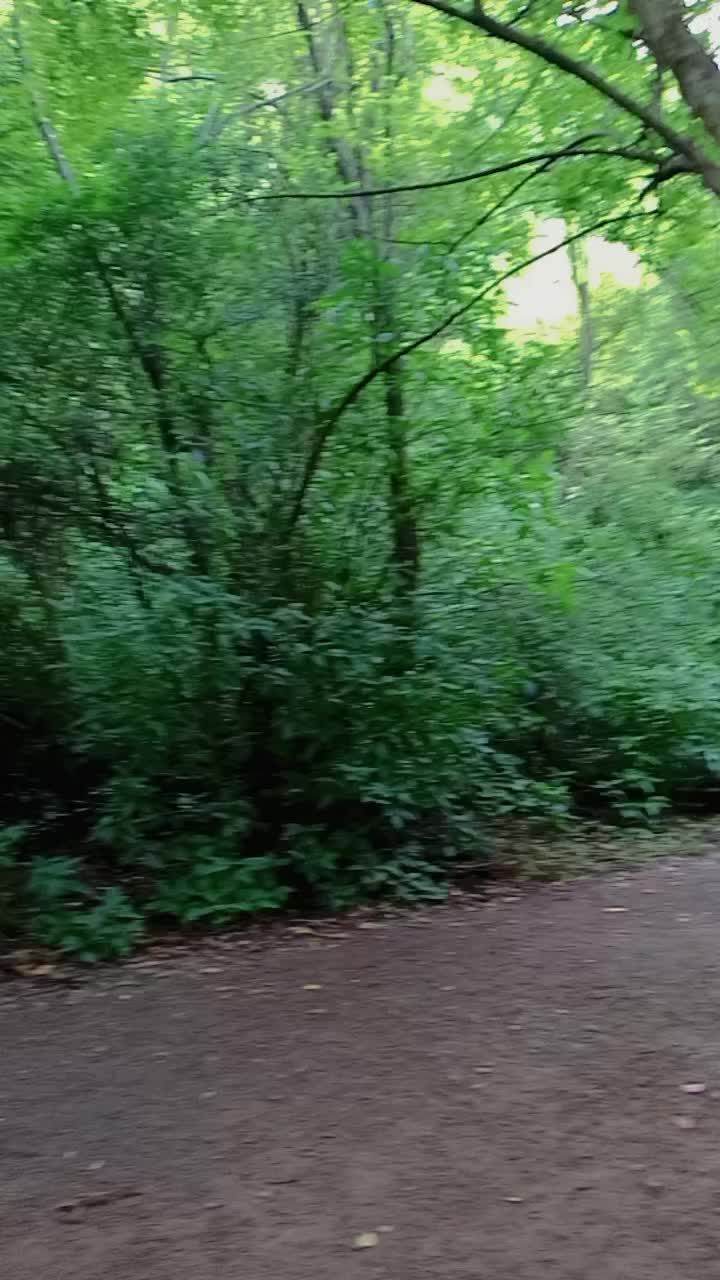 @A💥K_-_-_-