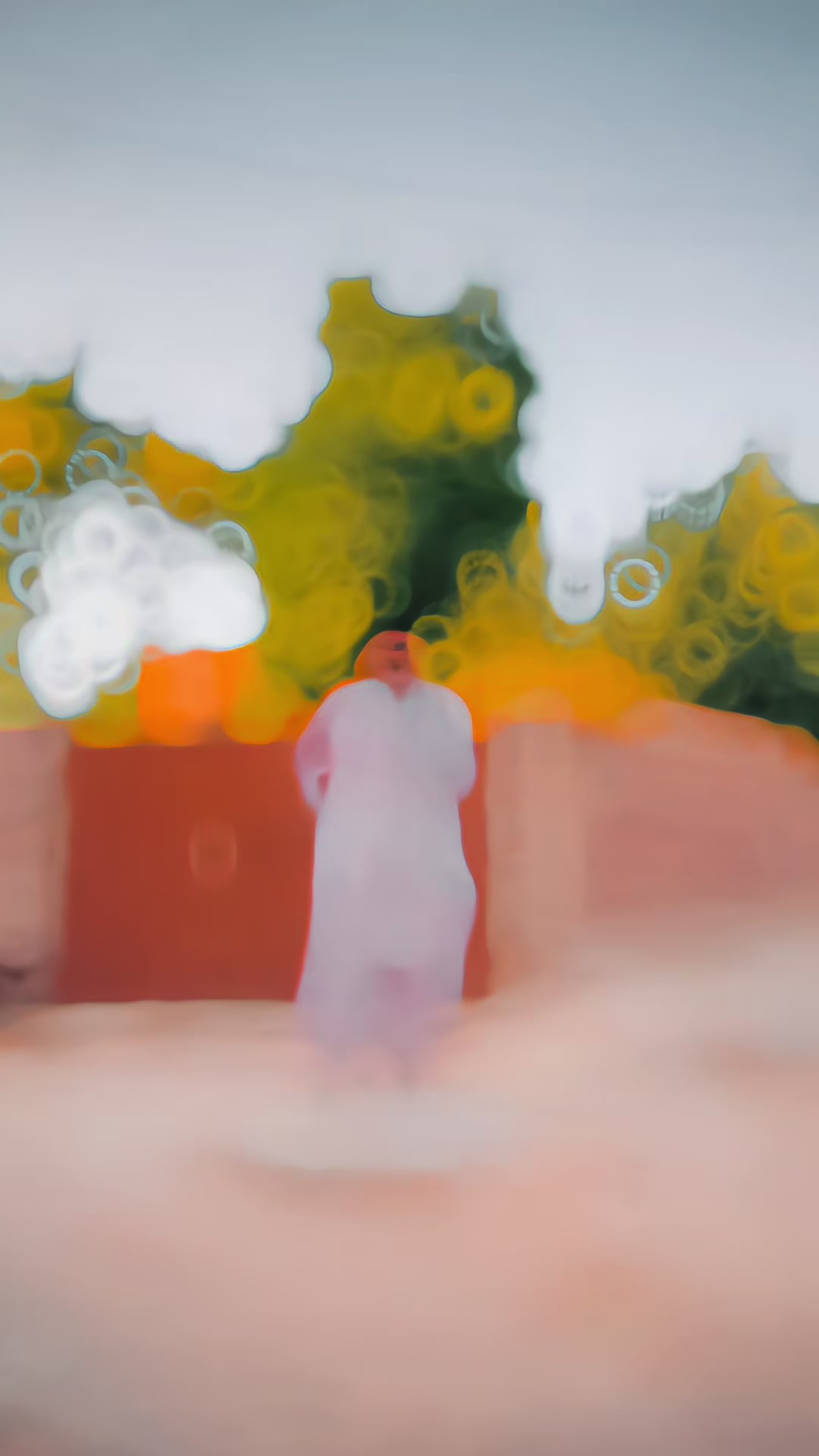 @𝙁𝙖𝙧𝙖𝙯🐼🌒🩵