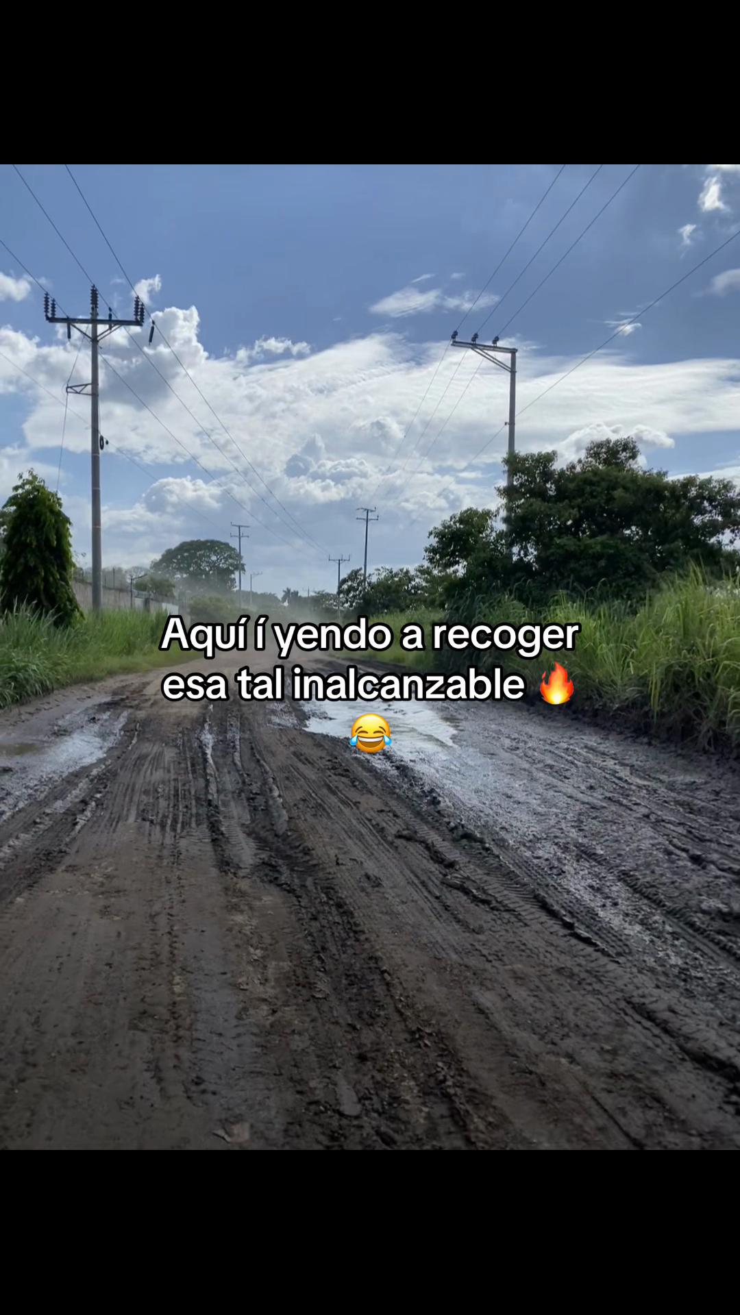 @ sv.brixn_11