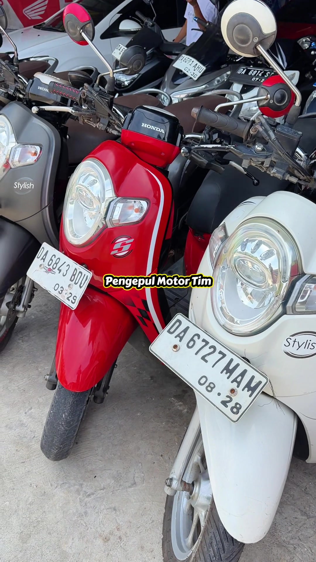 @pengepulmotortim