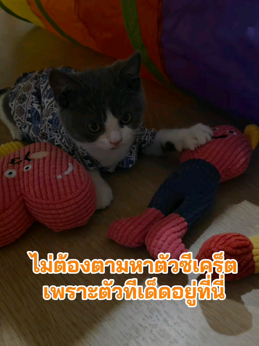 @Whataholic