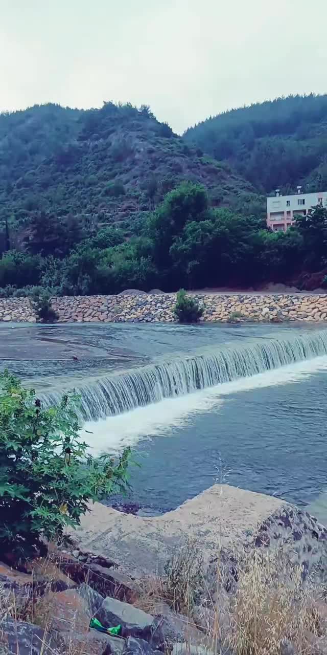 @yalnız adam1980