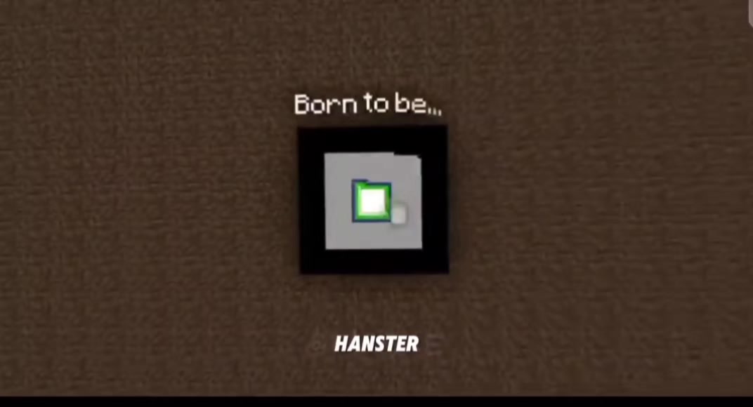 @big#hamster1