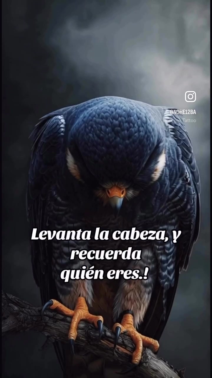 @pattyverdugomx