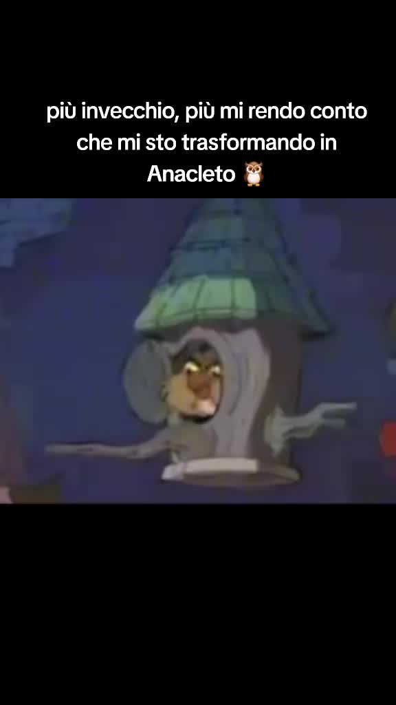 @STELLA DANZANTE