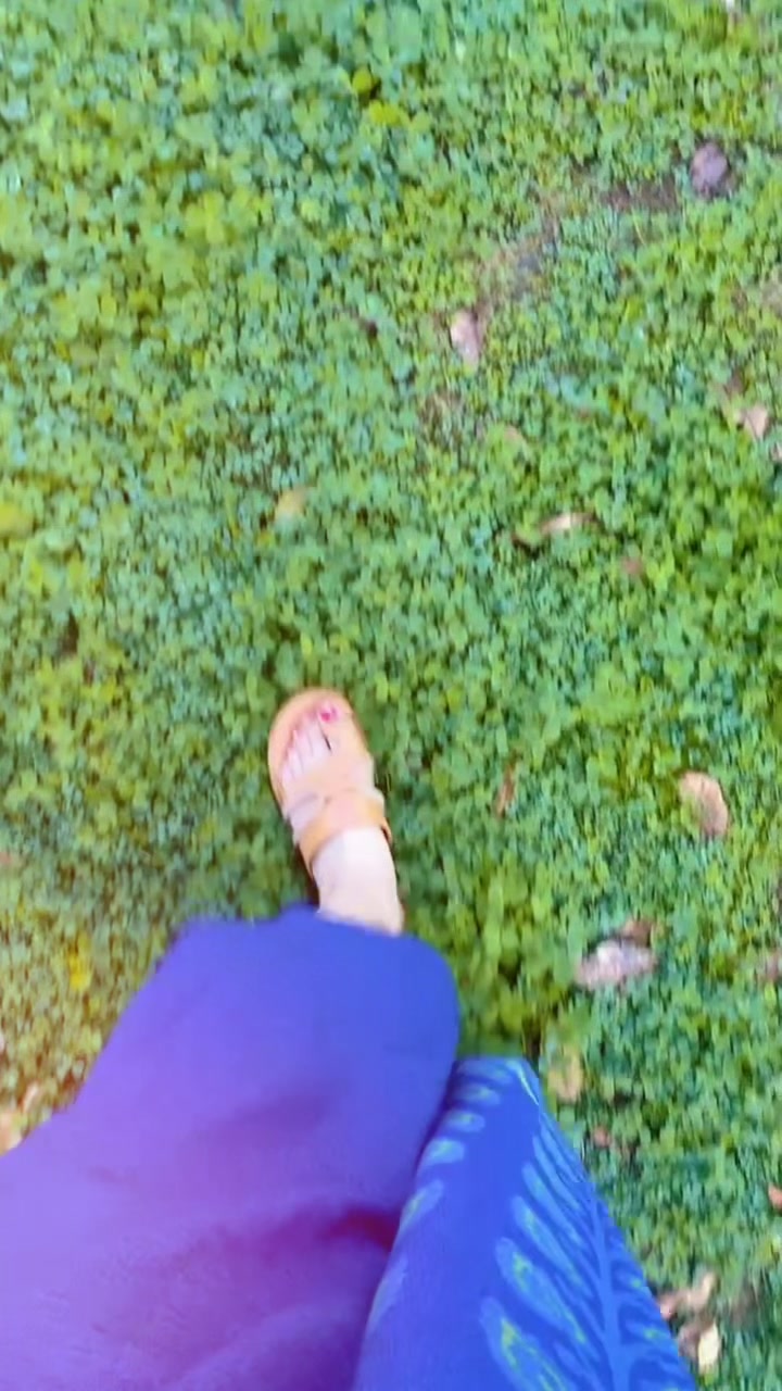 @🌻اقصی اعظم 🥀