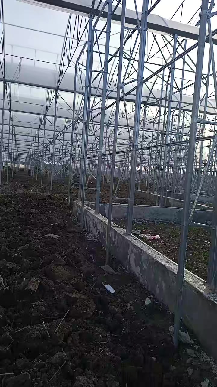 @Oktay Aydın