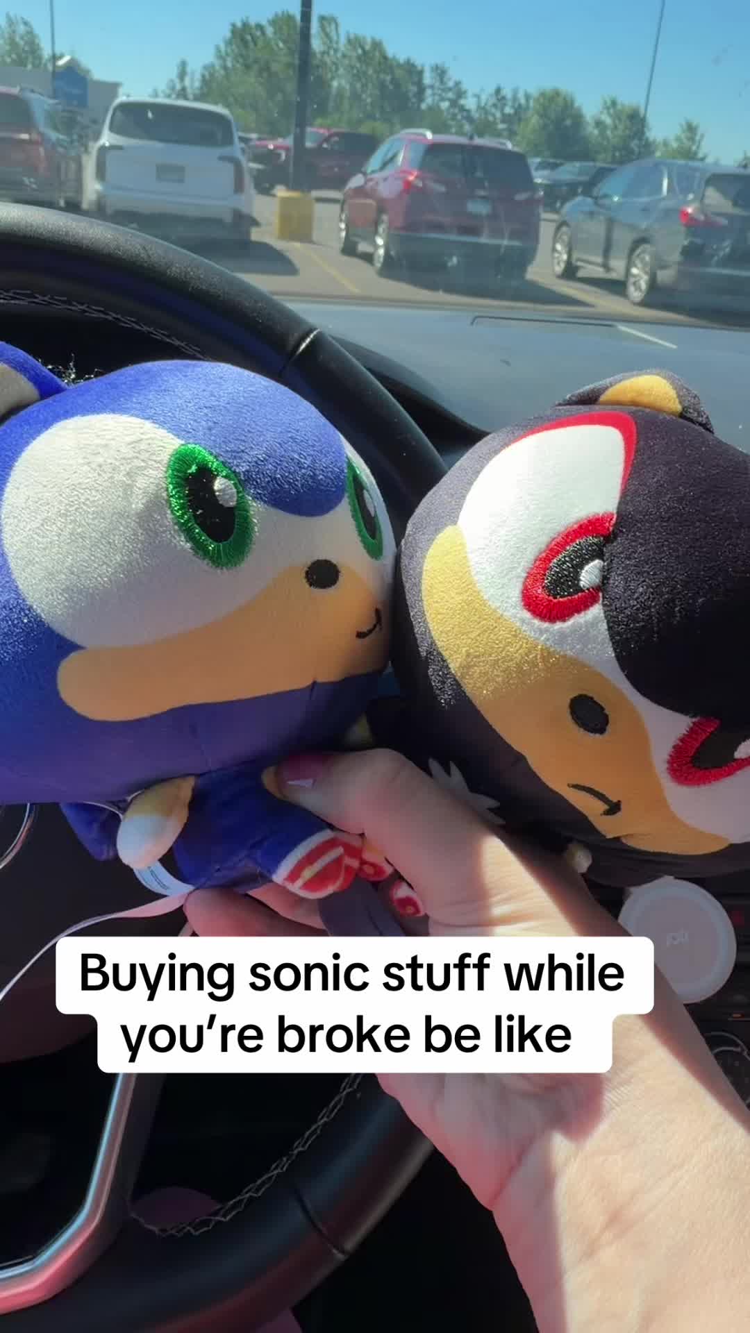 @soniccybernut