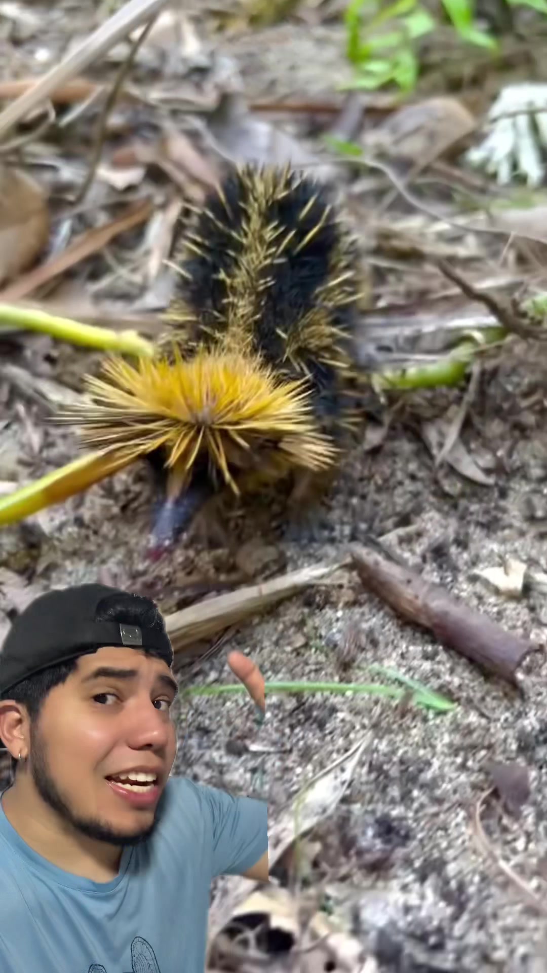 @Soy Sebassalvaje (dúos)