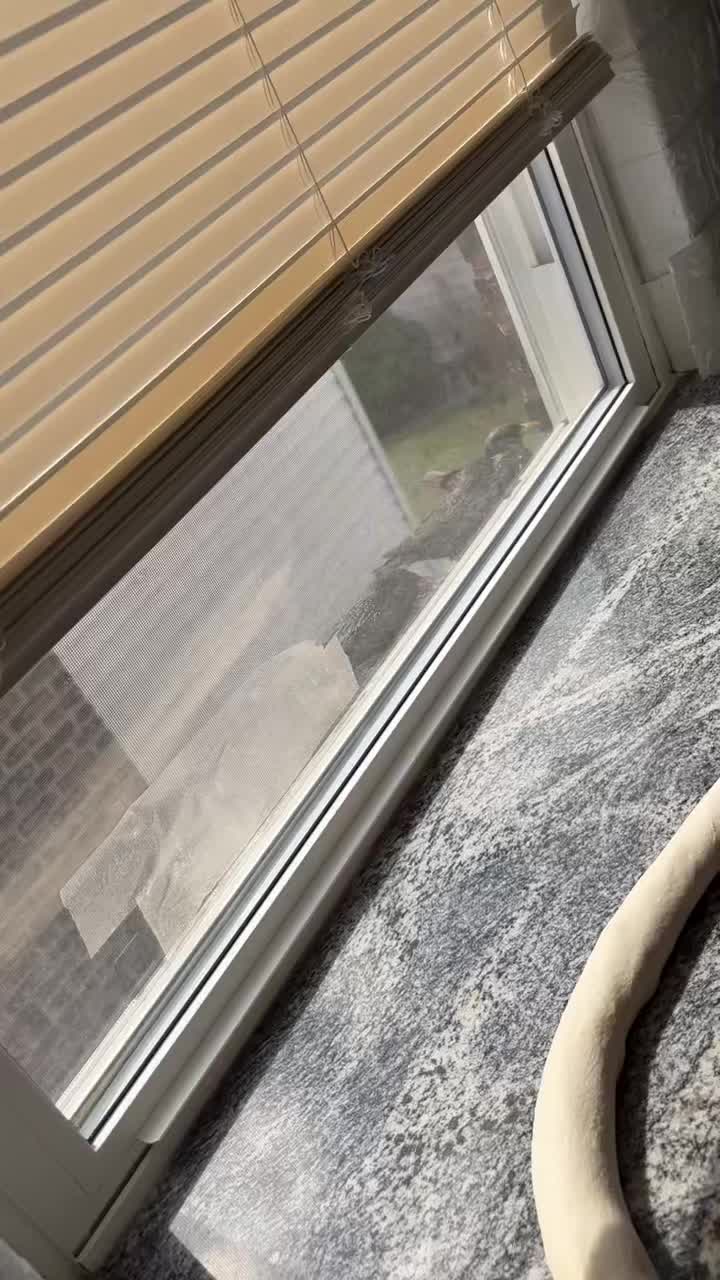 @skorpija66