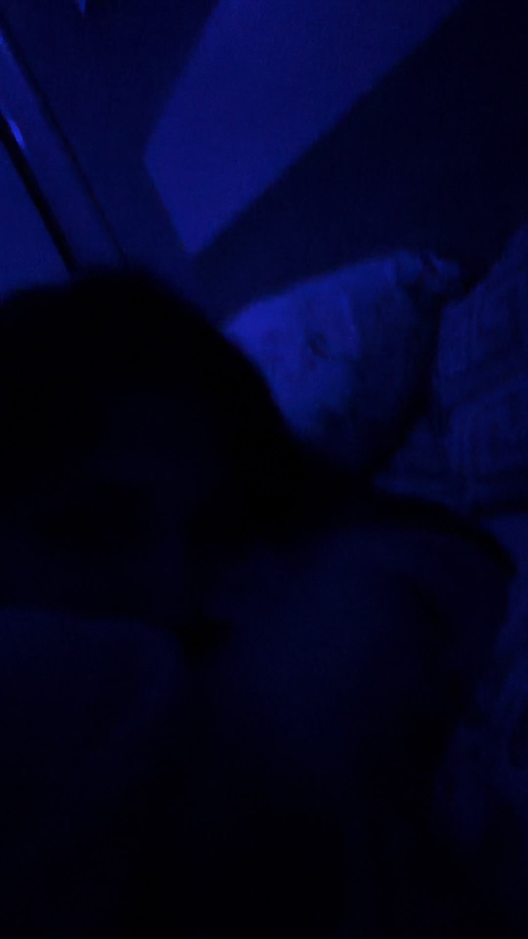 @guida_fernandez_18