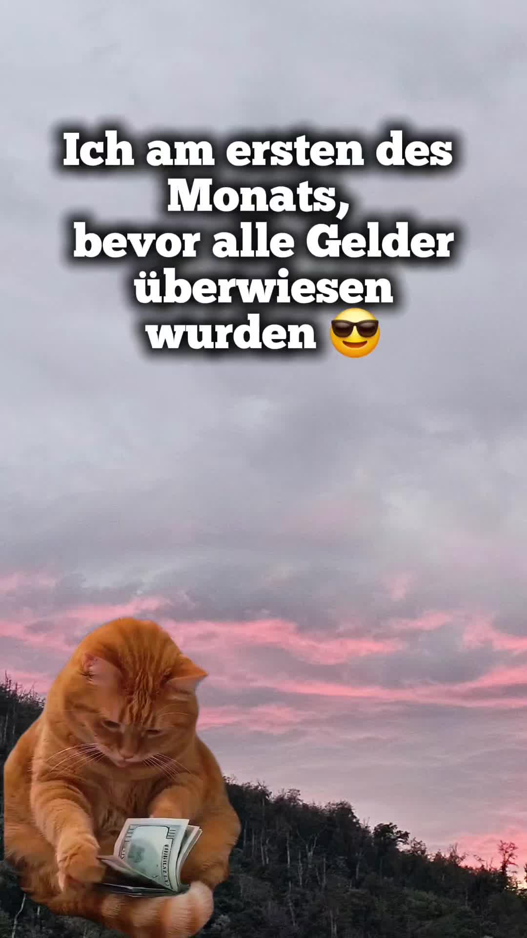 @✨️🌸 𝒥𝓊𝓁𝒾𝒶 🌸✨️