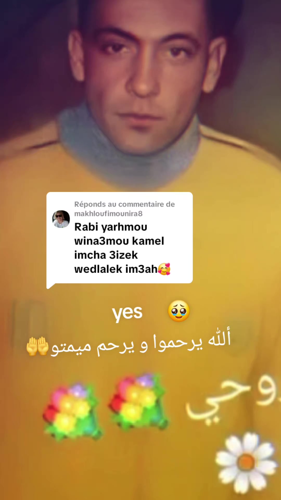 @dodi