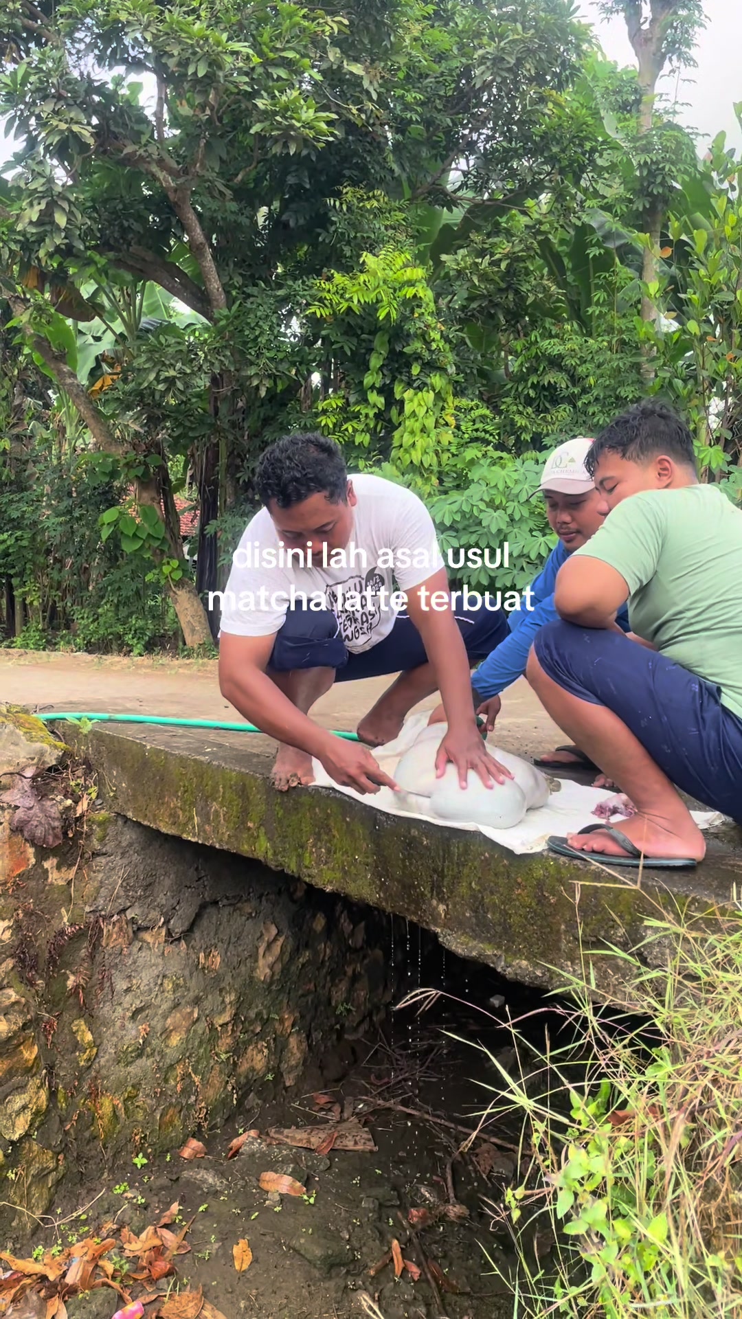 @_bicool