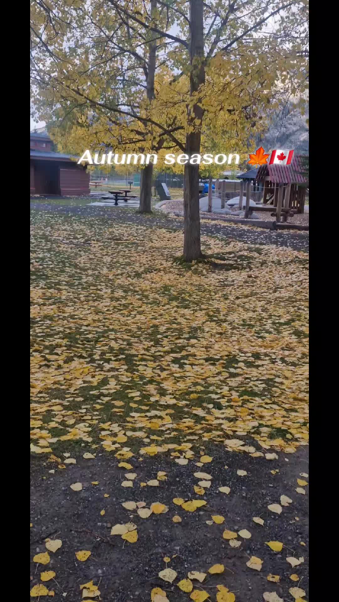 @Aana🇨🇦🇹🇭
