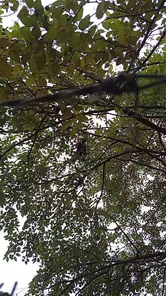 @ফুল🌸🌼