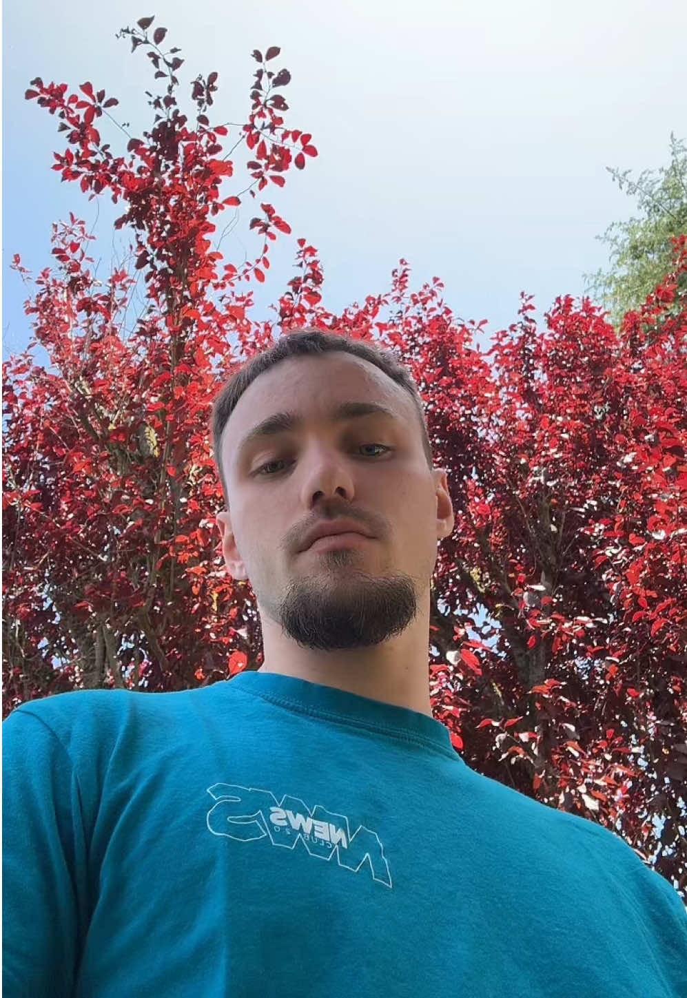 @Cmoialvin05