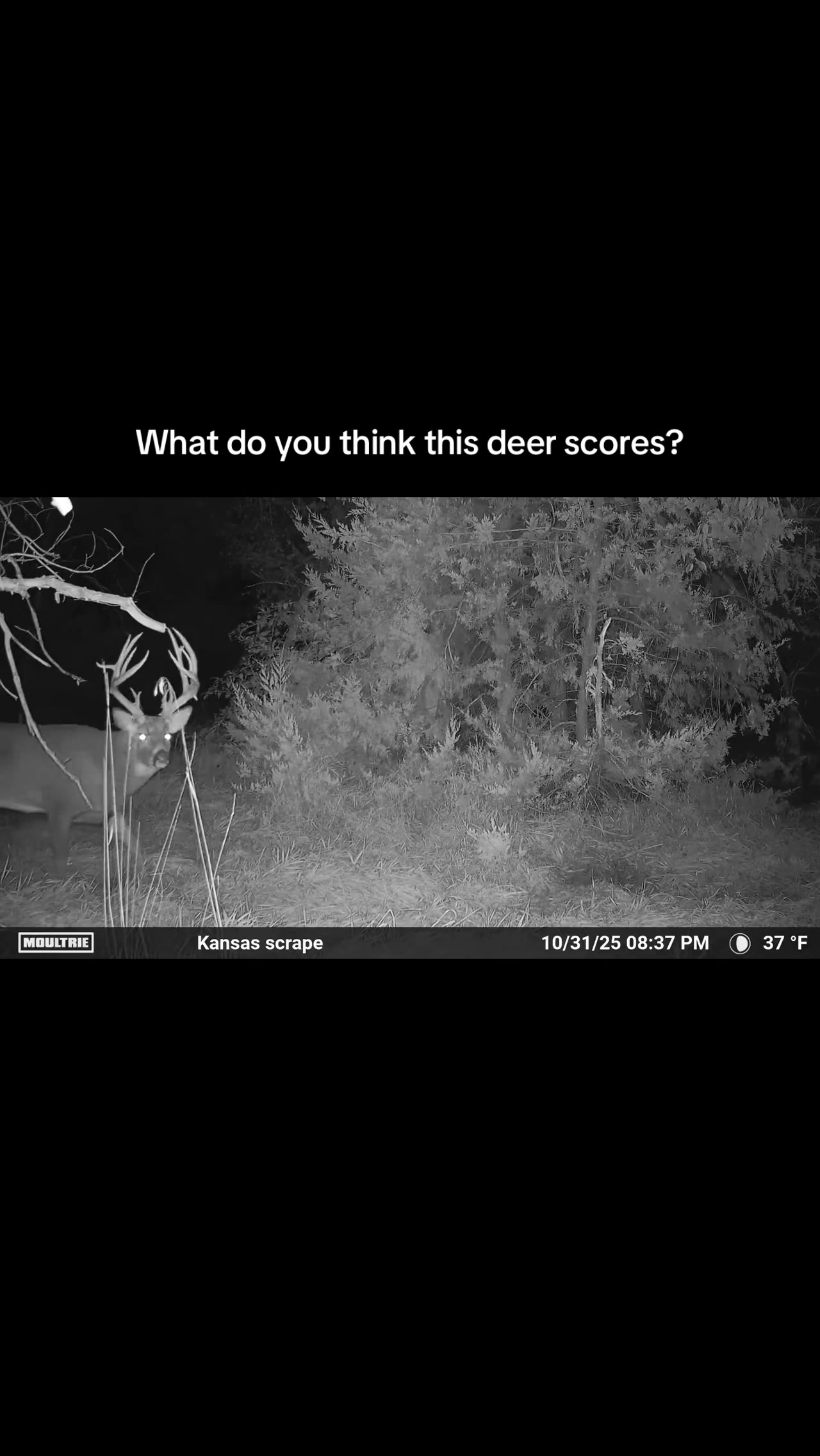 @Moultrie