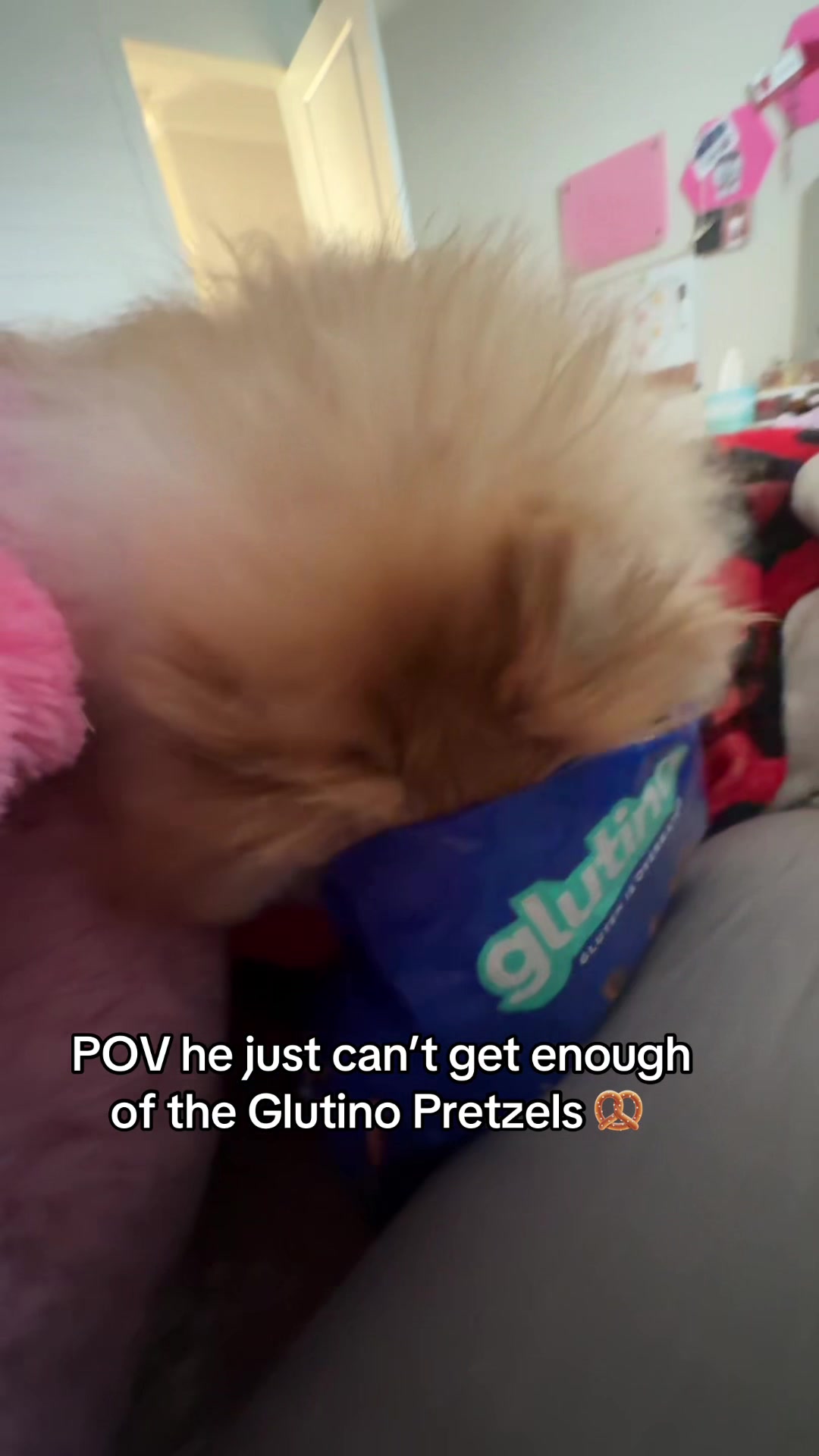 @alyssa