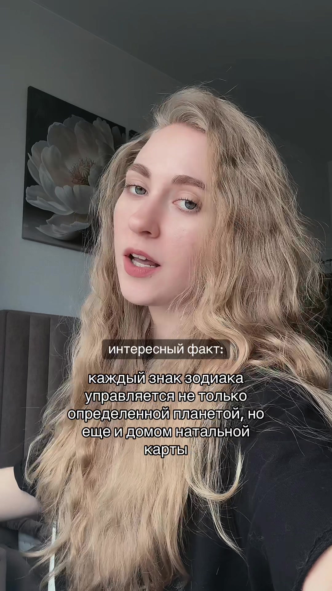 @zlakikozinaka