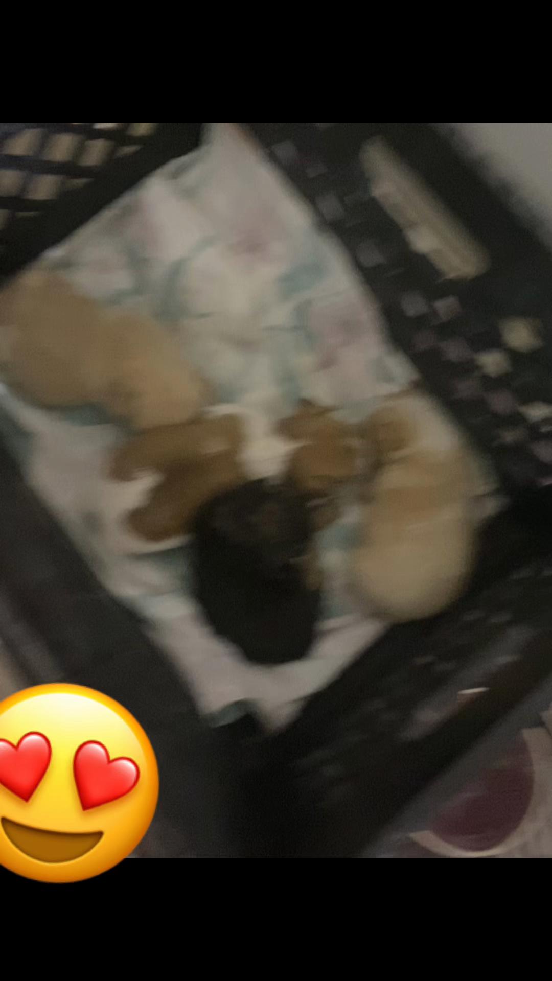 @Aylany 🥰