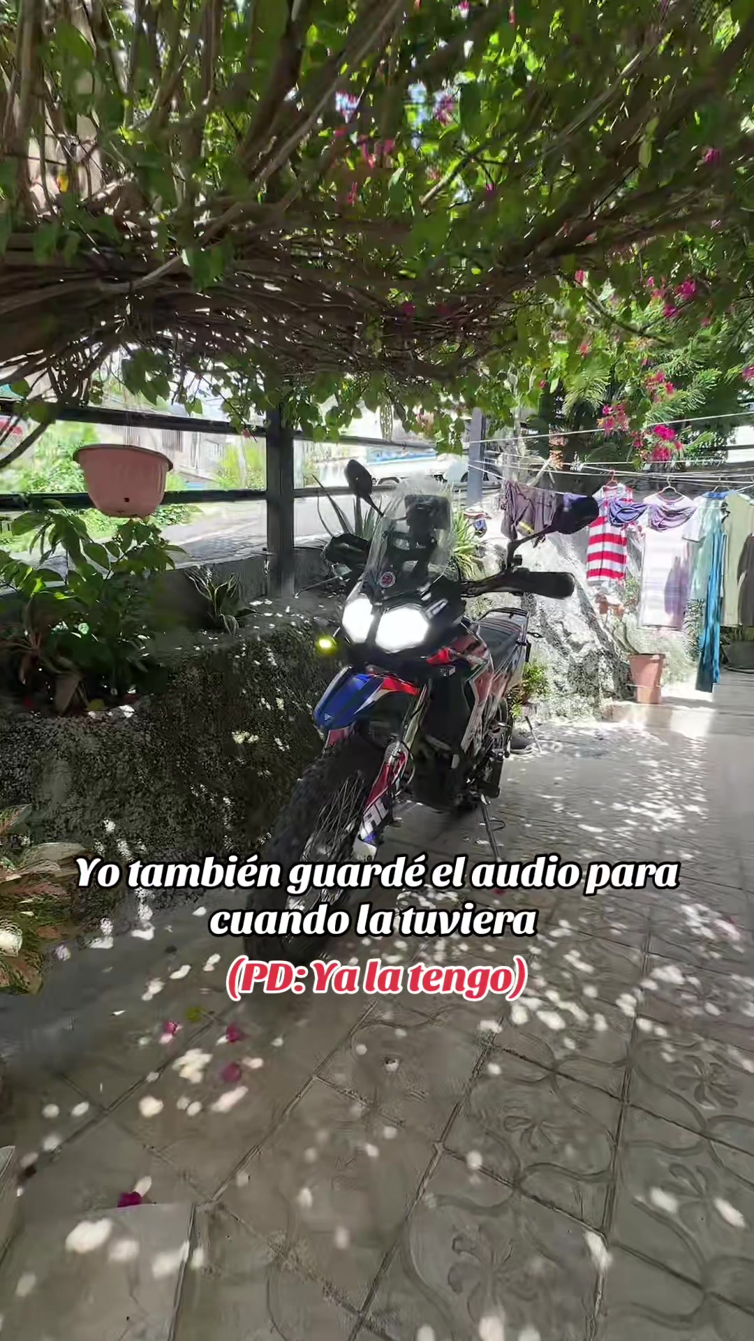 @ArielSerie56