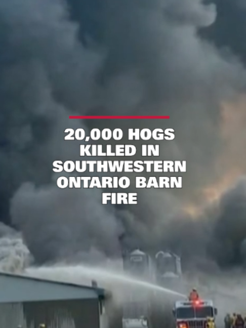 @cp24