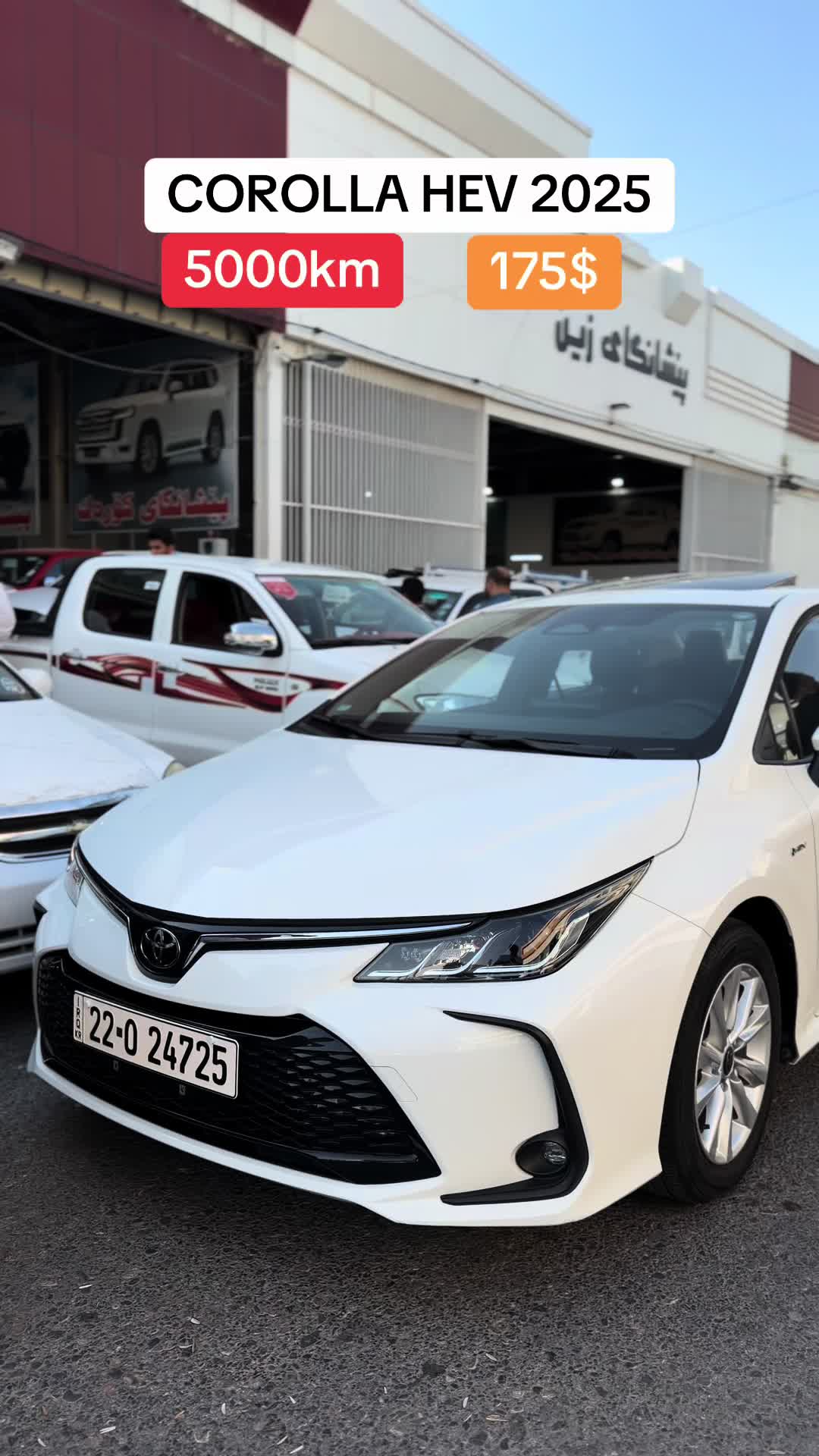 @avalon____limited