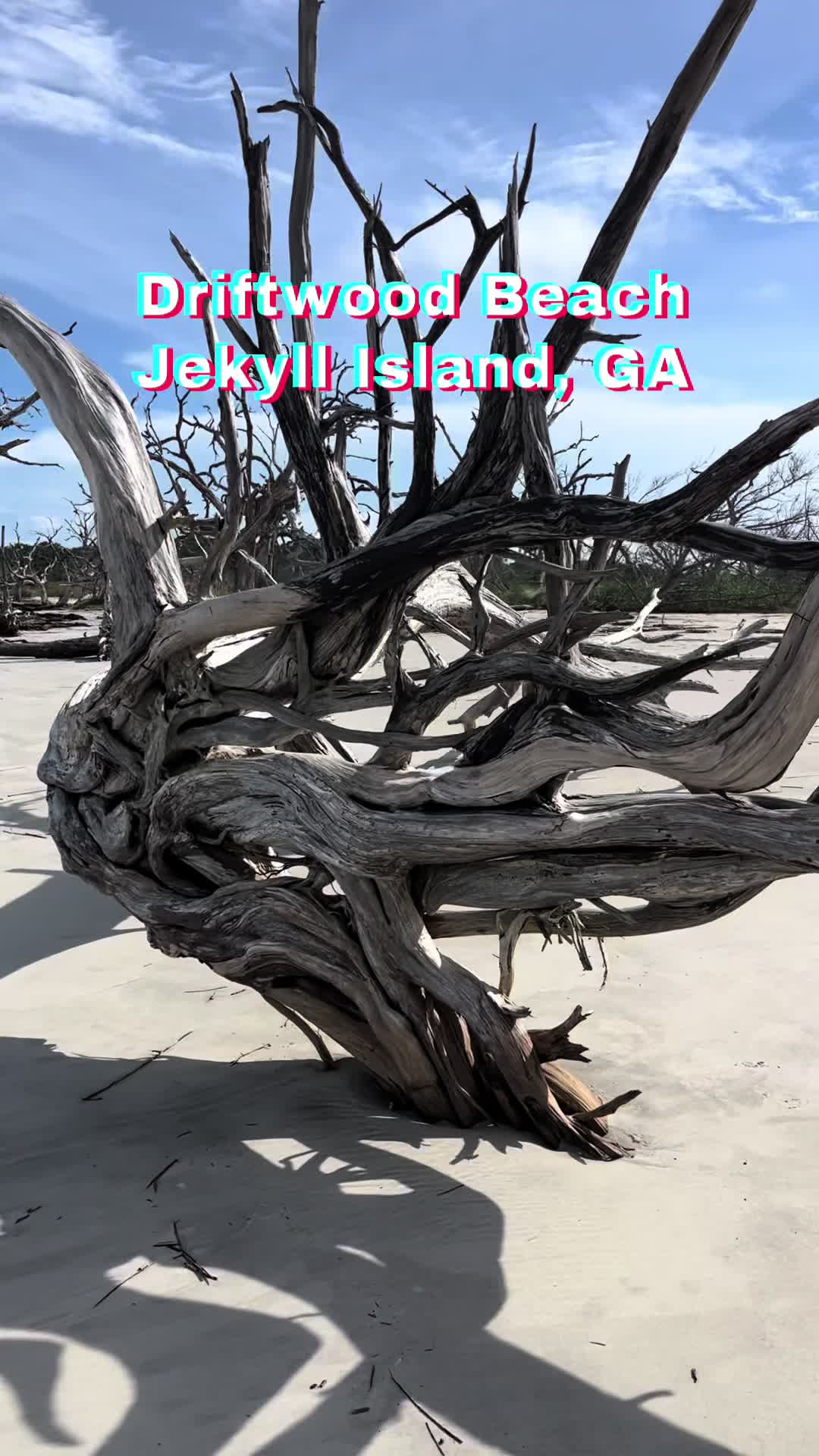@Jekyll Island Nature Girl
