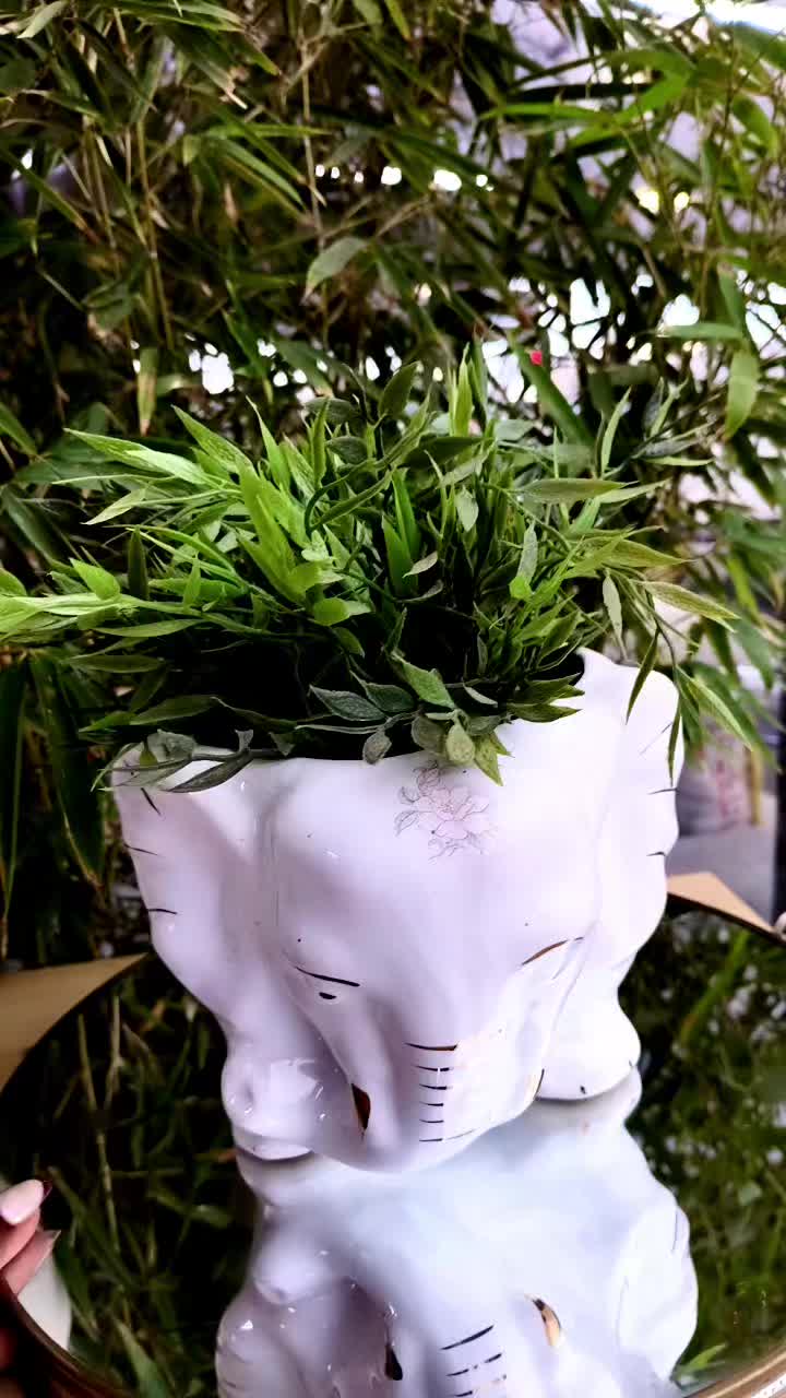 @T.store.kenya.0.701.523.609