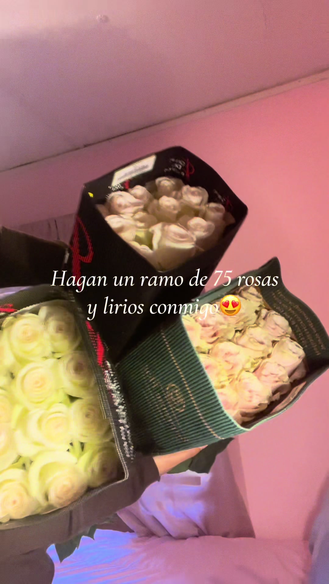 @marce🌷